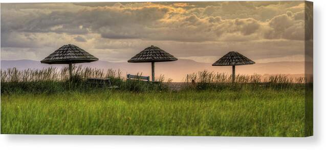 Beach Canvas Print featuring the photograph Pick One by Kathy Paynter