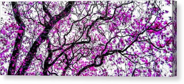 Flower Canvas Print featuring the photograph Tulip Tree Abstracted 3 by Michael Arend