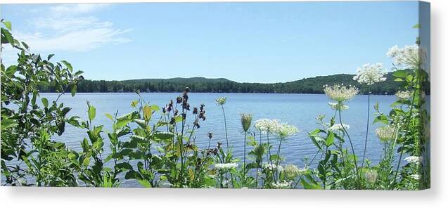 Canada Lake Canvas Print featuring the photograph Canada Lake Queen Anne's Lace by Kathy Chism
