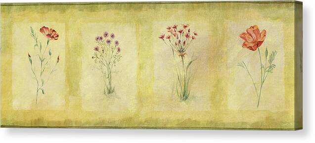 4 Squares Of Flowers With Border Canvas Print featuring the mixed media F86 by Pablo Esteban