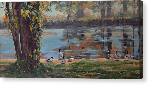 Geese Canvas Print featuring the painting Sunbathing Geese by Celeste Drewien