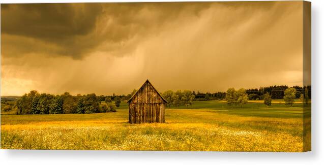Photography Canvas Print featuring the photograph Barn In A Field Of Wildflowers #1 by Panoramic Images