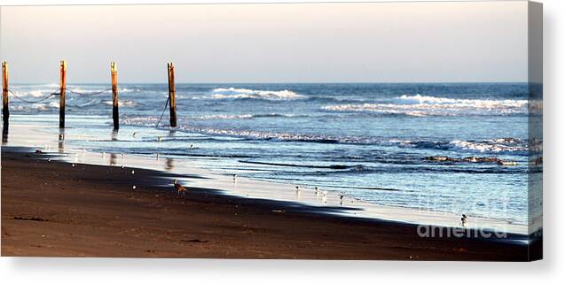Beach Canvas Print featuring the photograph Beach Fence #2 by Henrik Lehnerer