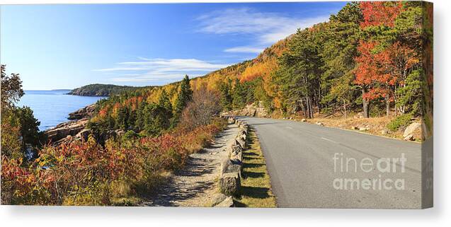 Otter Cliff Canvas Print featuring the photograph Ocean Drive road panorama Acadia National Park by Ken Brown