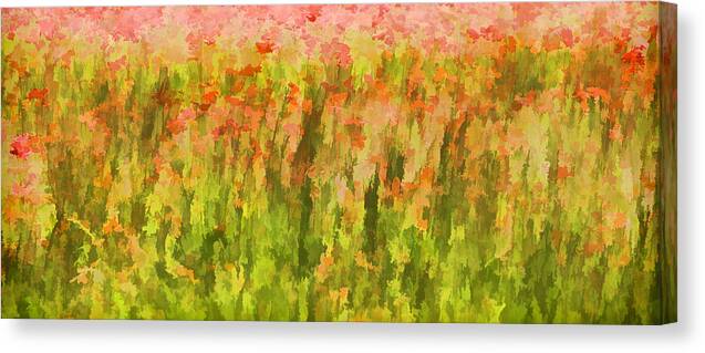Canvas Canvas Print featuring the painting Poppies of Tuscany III by David Letts