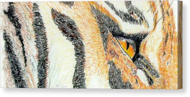 Tiger Canvas Print featuring the drawing Tiger Amber by Stephanie Grant