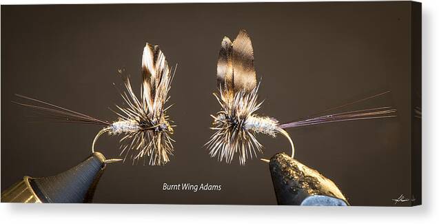 Flies Canvas Print featuring the photograph Burnt Wing Adams #2 by Phil And Karen Rispin