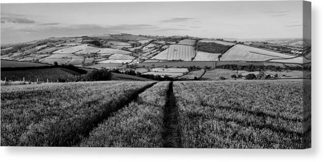 Exe Valley Canvas Print featuring the photograph Exe valley in Devon by Pete Hemington