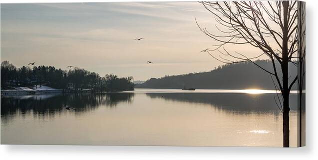 Gulls Canvas Print featuring the photograph Gulls Over the Ohio by Holden The Moment