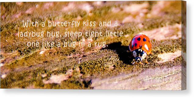 Macro Canvas Print featuring the photograph Little bug by Andrea Anderegg