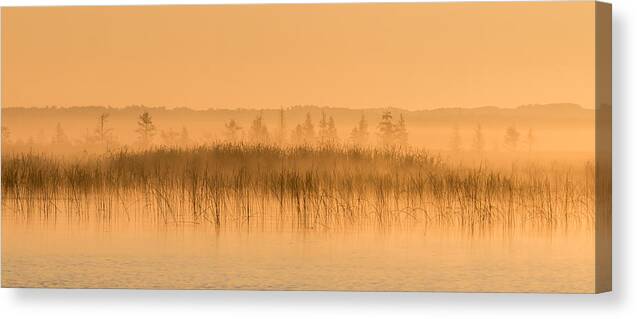Orange Canvas Print featuring the photograph Misty Morning Floating Bog Island on Boy Lake by Patti Deters