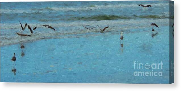 Birds Canvas Print featuring the photograph Seagulls at Myrtle Beach by Mim White