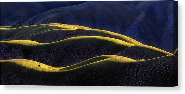 Grassland Canvas Print featuring the photograph Run 4 Free by Ke Liu