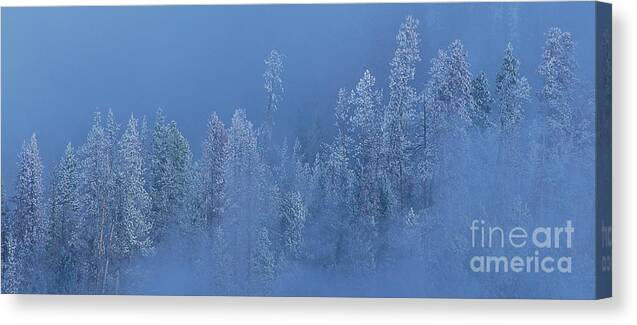 Dave Welling Canvas Print featuring the photograph Snow Covered Trees In Fog Yellowstone National Park Wyoming by Dave Welling