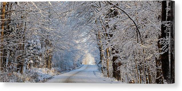 Scenics Canvas Print featuring the photograph Tree Lined Road In Winter by David Chapman / Design Pics