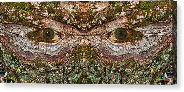 Wood Tree Eye Freaky Mask Scary Ent Organic Life Moss Algae Eyes Eyeball Watching Watcher Abstract Psychodelic Nightmare Frightful Monster Dark Forest “green Man” Canvas Print featuring the photograph Watcher in the Wood #1 - Human face and eyes hiding in mirrored tree feature- Green Man by Peter Herman