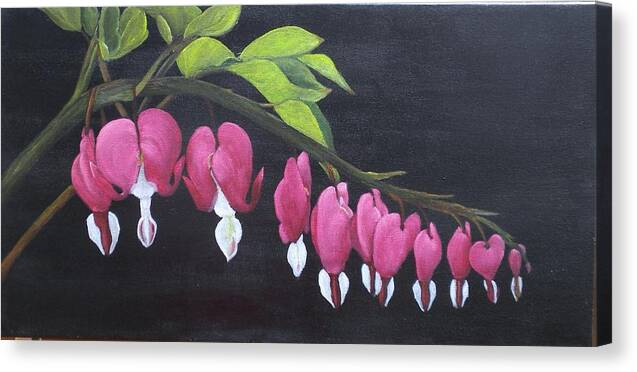 Bleeding Hearts Canvas Print featuring the painting Bleeding Hearts by Marti Idlet