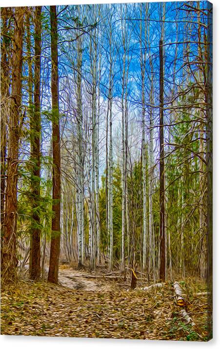 North Cascades Canvas Print featuring the painting River Run Trail at Arrowleaf by Omaste Witkowski
