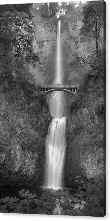 Multnomah Canvas Print featuring the photograph Multnomah Falls Oregon by Mike Neal