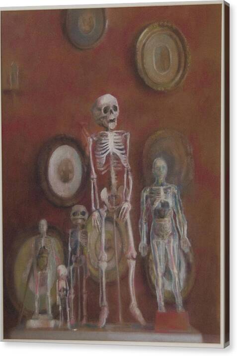 Still Life- Wunderkammer - Skeleton- Death - Vanitas- Memento Mori Canvas Print featuring the drawing Skeleton Cabinet by Paez Antonio