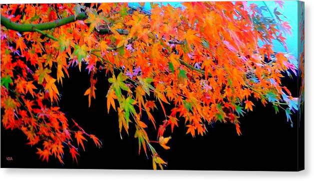 Maple Canvas Print featuring the photograph Maple Magic by VIVA Anderson