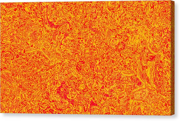 Digital Canvas Print featuring the digital art Orange Fire by Steve Fields