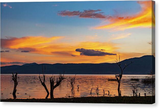 _earthscapes Canvas Print featuring the photograph Lake Side in Ajijic Area by Tommy Farnsworth