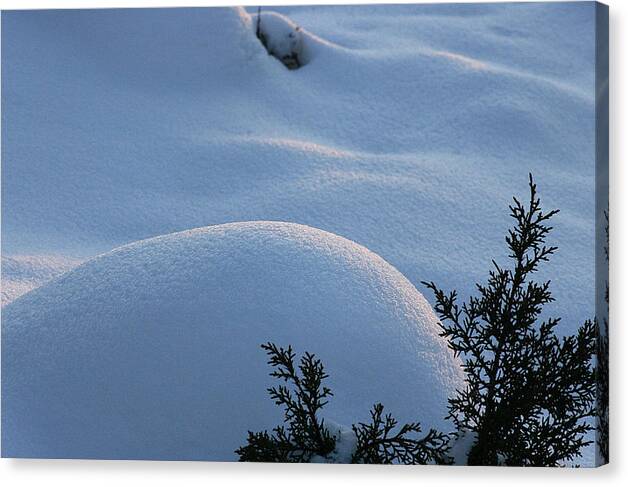 Snow Canvas Print featuring the photograph Fresh Snow by Tommy Farnsworth