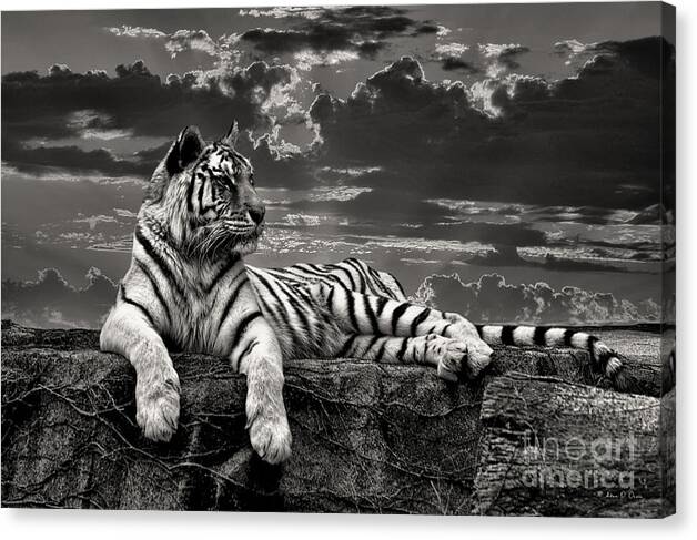 Tiger Canvas Print featuring the photograph His Majesty by Adam Olsen