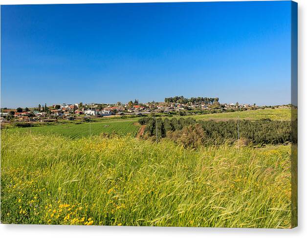 Spring Canvas Print featuring the photograph Spring Time Again by Uri Baruch