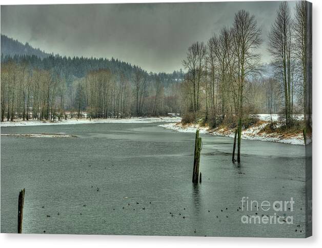 Nicomen Slough Canvas Print featuring the photograph Winter by Rod Wiens