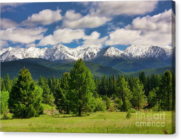 Wallowa Whitman National Forest Canvas Print featuring the photograph Elkhon mountain range in eastern Oregon #1 by Bruce Block
