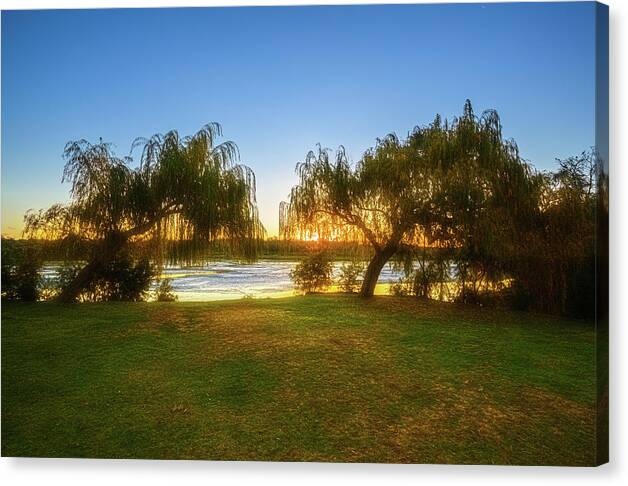 Mad About Wa Canvas Print featuring the photograph Golden Lake, Yanchep National Park by Dave Catley