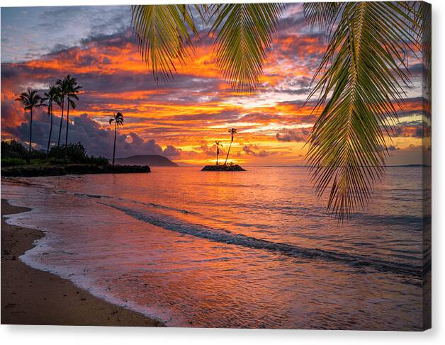 Red Morning Hawaii Sunrise Oahu Palm Tree Canvas Print featuring the photograph Red Morning Hawaii by Leonardo Dale