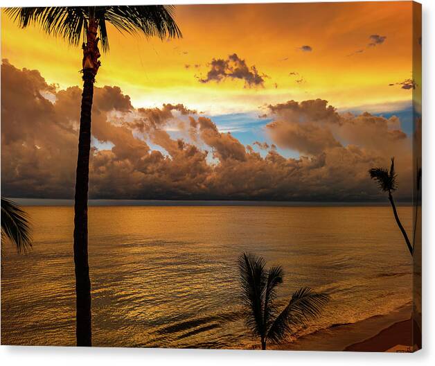 Beach Canvas Print featuring the photograph Golden Afterglow Mazatlan Mexico by Tommy Farnsworth