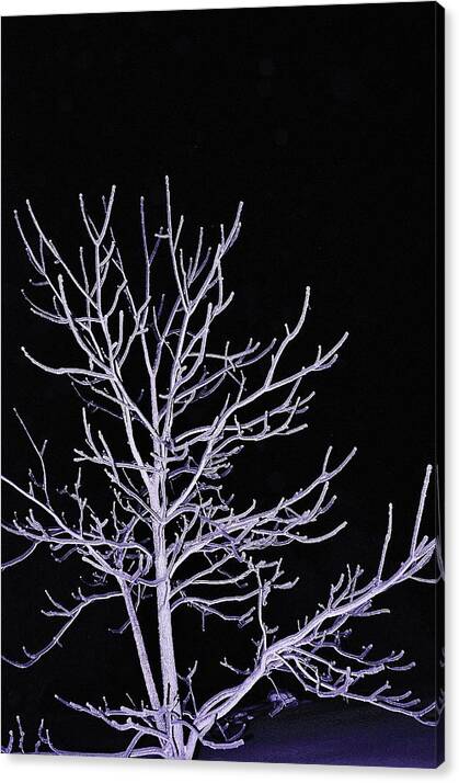 Ice Canvas Print featuring the photograph Ontario Ice Storm 1 by Susan Moore