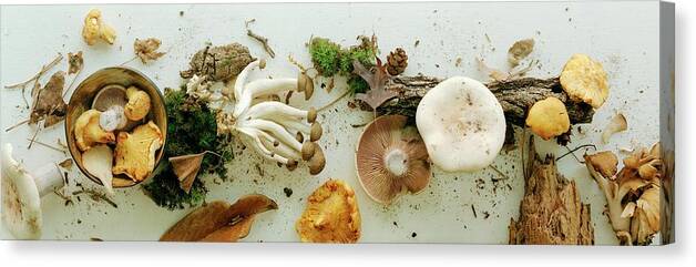Fruits Canvas Print featuring the photograph An Assortment Of Mushrooms by Romulo Yanes