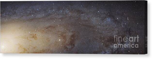 Astronomy Canvas Print featuring the photograph Andromeda Galaxy Mosaic #1 by Robert Gendler