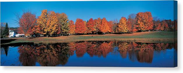 Photography Canvas Print featuring the photograph Autumn Trees Laurentide Quebec Canada #1 by Panoramic Images