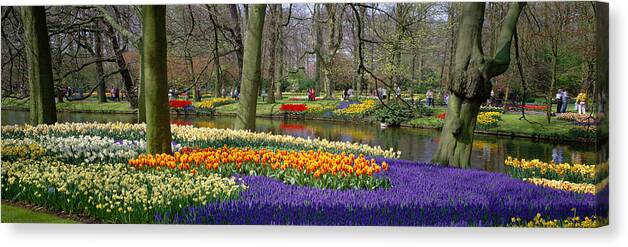 Photography Canvas Print featuring the photograph Keukenhof Garden Lisse The Netherlands #1 by Panoramic Images