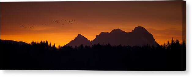 Flight Canvas Print featuring the photograph Flight to Saddle Mountain #2 by Joseph Bowman