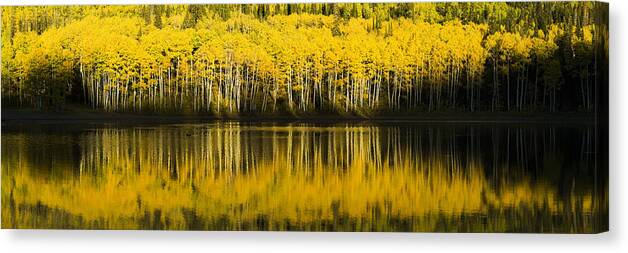 Fall Canvas Print featuring the photograph Golden Lake by Chad Dutson