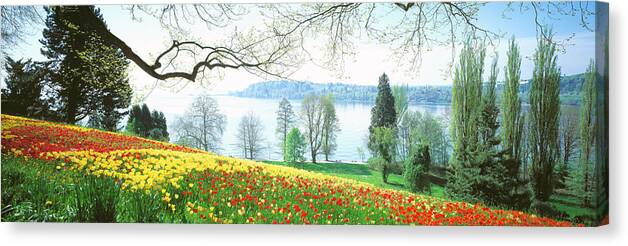 Photography Canvas Print featuring the photograph Lake Constance, Insel Mainau, Germany by Panoramic Images