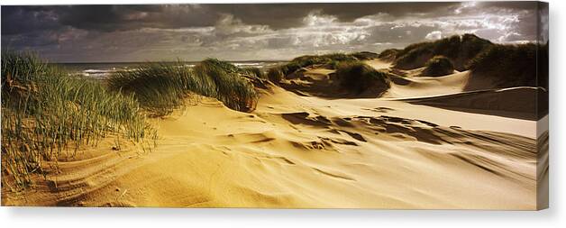 Photography Canvas Print featuring the photograph Marram Grass On The Beach, Sands by Panoramic Images