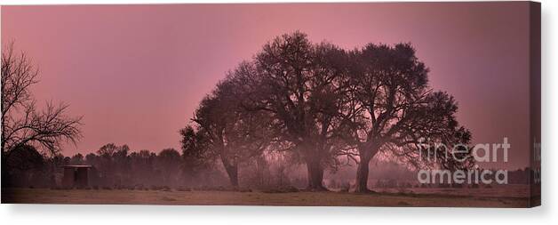 Morning Canvas Print featuring the photograph Morning Whispers in Mississippi by T Lowry Wilson