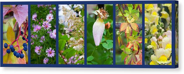 Garden Canvas Print featuring the photograph October by Theresa Tahara