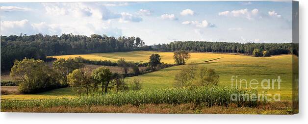 Landscape Canvas Print featuring the photograph Tennessee Valley by Todd Blanchard