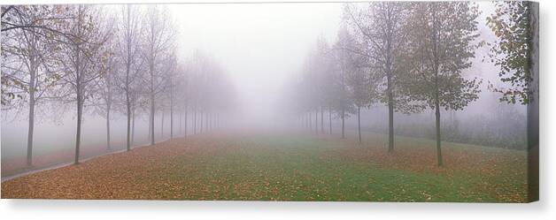 Photography Canvas Print featuring the photograph Trees In Fog Schleissheim Germany by Panoramic Images