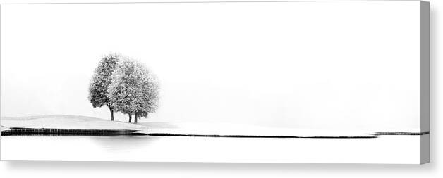 Lake Canvas Print featuring the photograph United #2 by Marc Huybrighs