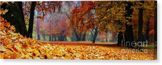 Autumn Canvas Print featuring the photograph Autumn In The Woodland #1 by Hannes Cmarits